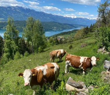 Millstatt House | Reinwalds Almhütte
