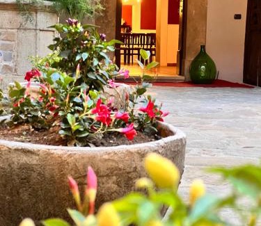 Stella Cilento Bed & Breakfast | Relais Castello Vassallo