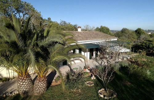Montuiri House | Relaxing atmosphere in a Finca full of lemon and orange trees