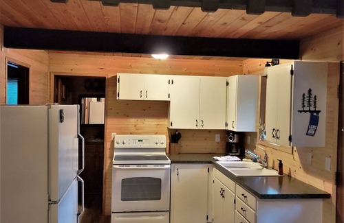 Hoodsport Cabin | Relaxing Cabin Adjacent Olympic National Park/Forest & Beautiful Lake Cushman!