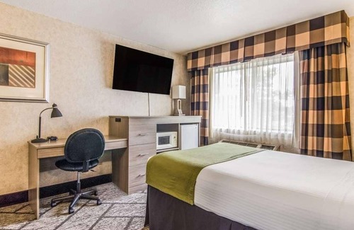 Poulsbo Resort | Relaxing Getaway in GuestHouse Poulsbo with FREE Parking & Bfast, Pets Allowed!