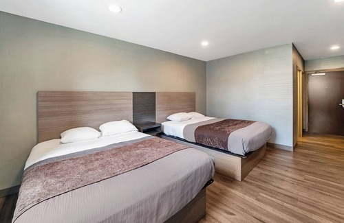 Foxboro Hotel | Relaxing Hideaway! 2 Units Close to Gillette Stadium, FREE Parking and Breakfast