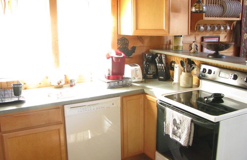 Rutherfordton Cabin | Relaxing 'Riverdance' Log Cabin is 2.7 miles from Tryon Equestrian Resort