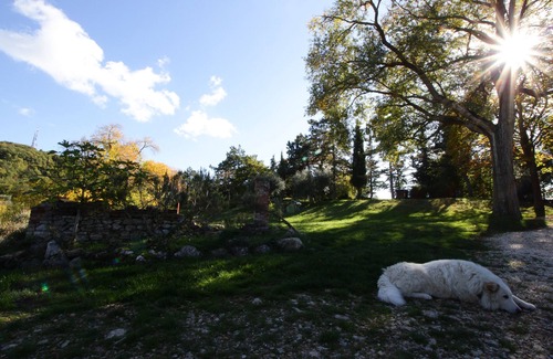 San Venanzo House | Relive the wild nature and noble history in the neo "MAB Unesco Reserve"