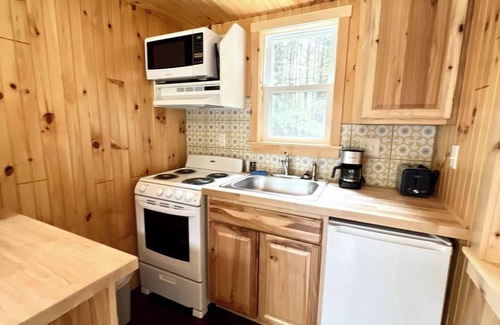 Dailey Cabin | Remote Tiny Cabin/Mountain Hiking/National Forest!