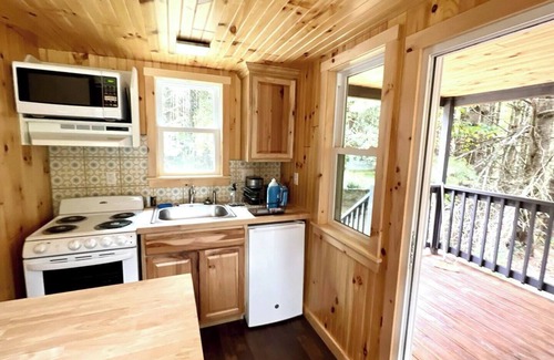 Dailey Cabin | Remote Tiny Cabin/Mountain Hiking/National Forest!
