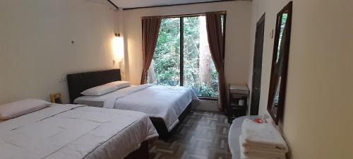 Marinsow House | Renny's Tangkoko Safety Stop