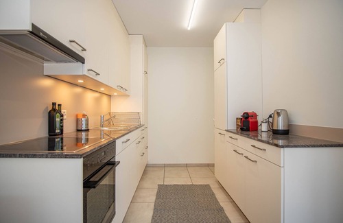 Vorstadte Apartment | Renovated Designer Studio in Central Basel with free BaselCard