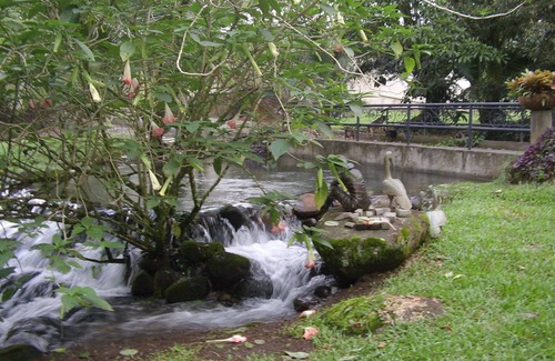 Guapiles Apartment | Rent 1 apt for up to 6 guests or both apartments for 12 guests and a discount