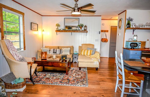 Indian Rock Springs Cabin | RENT 3 NIGHTS GET THE 4TH FREE JAN-MARCH!. message us for details
