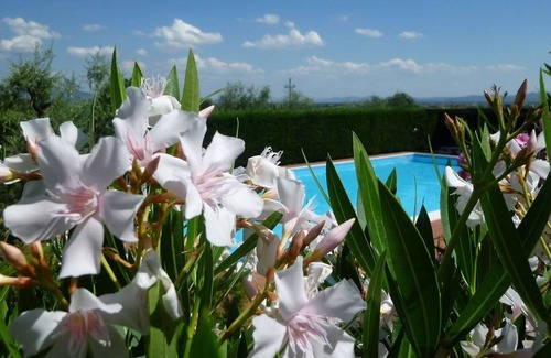 Pistoia Apartment | Residence in Pistoia with 1 bedrooms sleeps 4