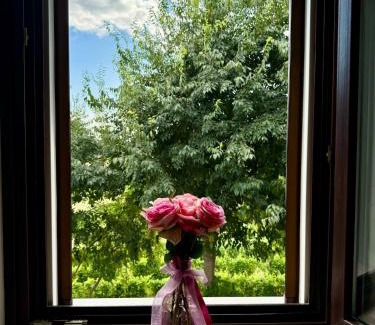 Pozzolengo House | Residenza Le Vigne