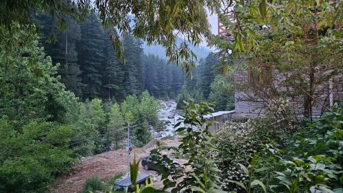 Hisar Hotel | Resort Apple Flower by Rohtang Family Hotels- Balcony & Mountain View, Near Mall Road, Personal Parking