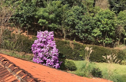 Araras House | Rest in the Valley of the Vines - Macaws
