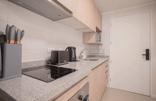 Downtown Santiago Apartment | Rest in this comfortable studio in Santiago Centro