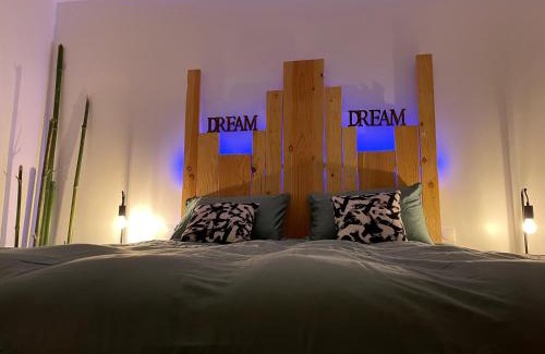 Abrest Apartment | Reve de Panda avec Sauna et Jacuzzi Privatif