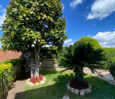 Zona XLV Castel di Guido Apartment | Rhome country lodge