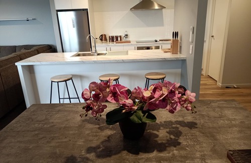 Richmond House | Richmond Tasman Nelson New 3bdrm 2 bathroom house