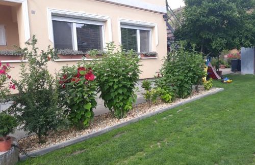 Bogacs Apartment | Rita Apartman
