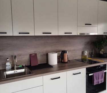 Plavniekkalns House | River Apartment