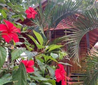 Pottuvil Division 2 Apartment | River Point Cabana at Arugambay