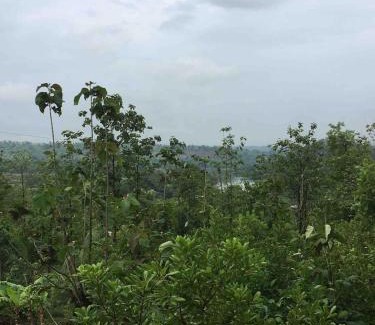 Kolad Villa | Riverside Nature villa in kolad nr Rafting