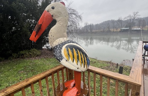 Coal Run Cabin | Riverview Cabin located on waterfront. Pet Friendly! Fishing, relaxing, and fun!