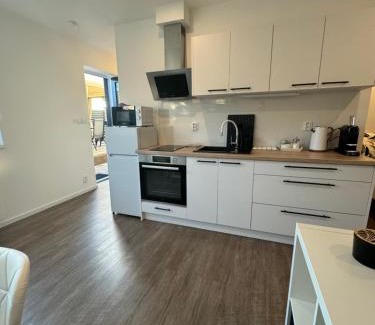Brno-Lisen Apartment | RK Apartment Brno
