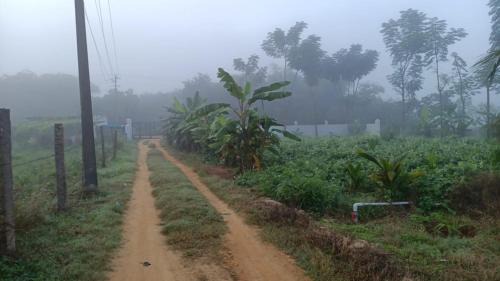 Koratagere House | RMS FARMSTAY