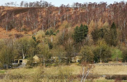 Beeley Bed & Breakfast | Robin Hood Farm B&B