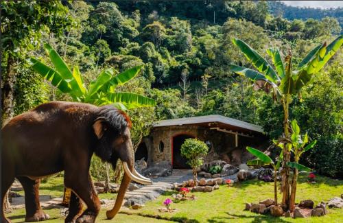 Rivas Villa | Rocka Verde Retreat 8th Wonder of the World
