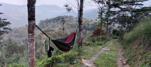 Gomara House | Rohana Estate Lodging & Camping