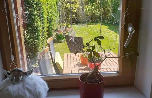Hirschstetten Apartment | Romanson Garden Apartment