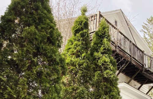 Phoenicia Apartment | Romantic sky loft with steam shower and giant tub. Breweries and hiking nearby