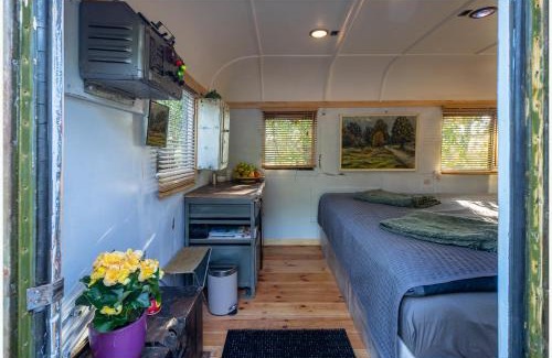 Zemgale Other | Romantic stay in apple tree park - Vintage Gaz-63