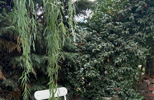 Zola Predosa Apartment | Romantico cottage alle porte di Bologna immerso nel verde