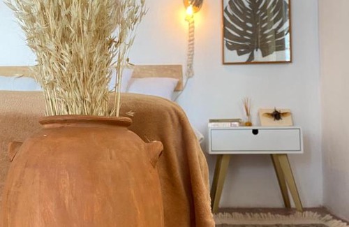 Zona Centro Apartment | Romina casa