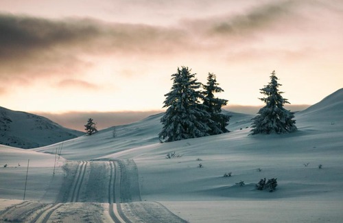 Mysuaeter Resort | Rondane Høyfjellshotell