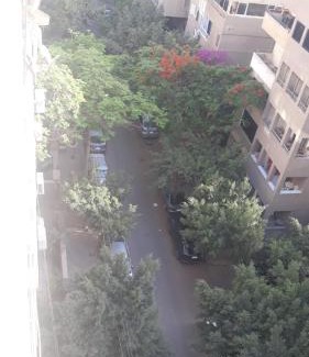 Heliopolis Apartment | Roof