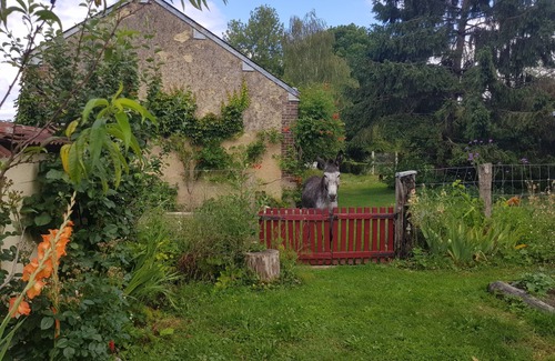 Savigny-sur-Braye Bed & Breakfast | Room 3R du Clos de la Canardière