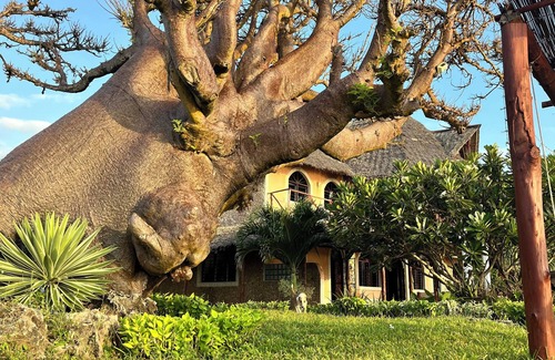 Shimoni Villa | Room in Guest Room - Eagle Suite 38m2 in Villa 560 m2, Indian Ocean View