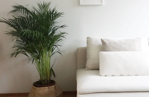 Punavuori Apartment | Roost Pursimiehenkatu