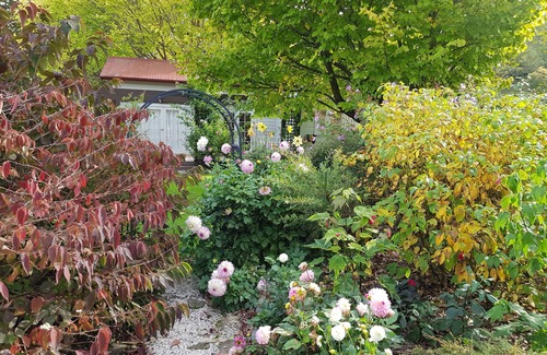 Masterton District Cottage | Rose Cottage - Tranquil retreat n