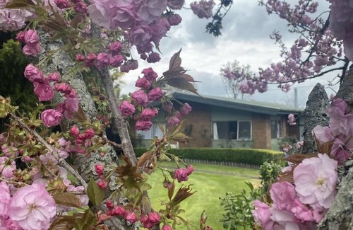 Kawaha Point House | Rose Lake Retreat | Great Lake Views with Spa Pool