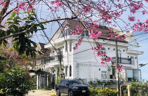 Phuong Villa | Rosemary Home - Nha Huong Thao brings you to the Dalat life.