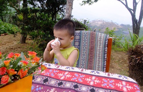Sa Pa House | Rosie House Sapa Lao