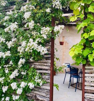 Novello Apartment | ROSTAGNI1834: VILLA WITH 2 APTS AND POOL IN THE BAROLO REGION