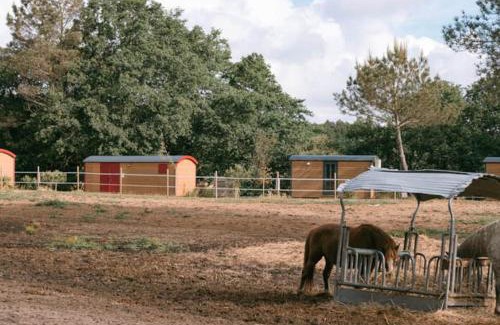 Mees Other | Roulottes cocooning au coeur des Landes