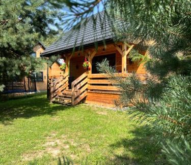 Adamow Apartment | Roztocze- Domki w Zagajniku