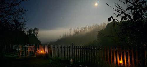 Ooty Hotel | RR Forest View